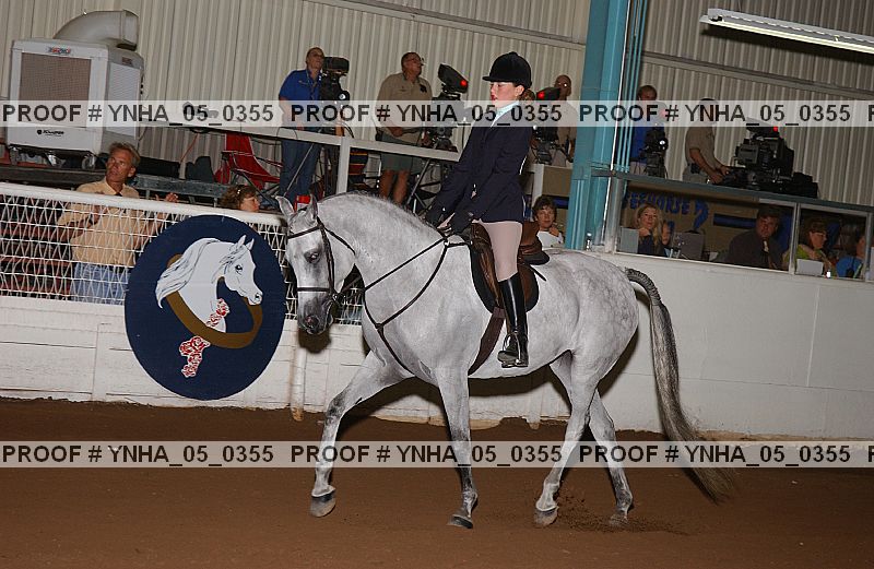 Proof Number ynha_05_0355