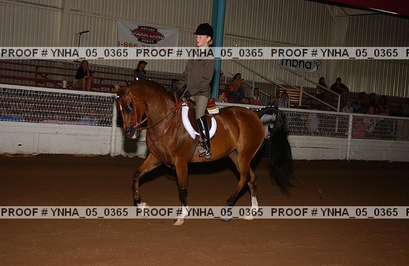 Proof Number ynha_05_0365
