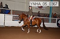 Proof Number ynha_05_0367