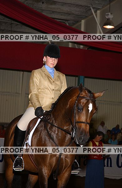 Proof Number ynha_05_0377