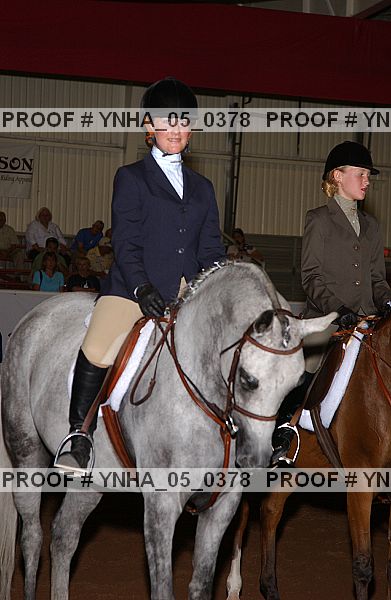 Proof Number ynha_05_0378