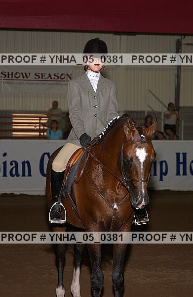 Proof Number ynha_05_0381