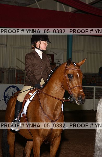 Proof Number ynha_05_0382