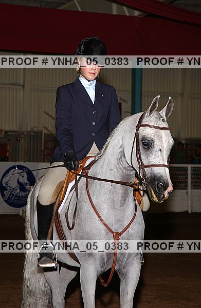 Proof Number ynha_05_0383