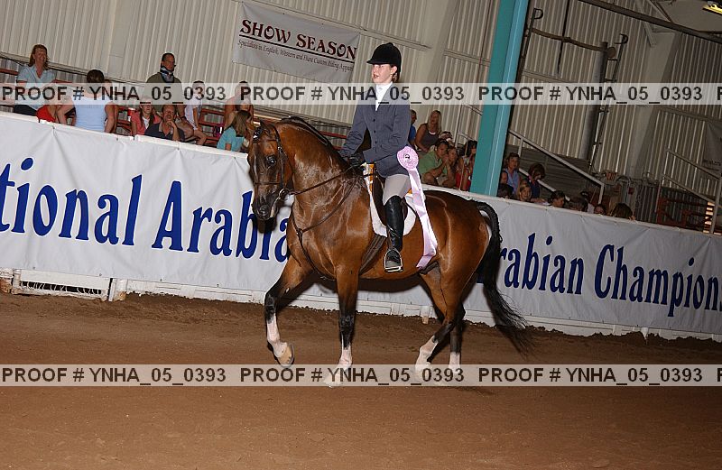 Proof Number ynha_05_0393