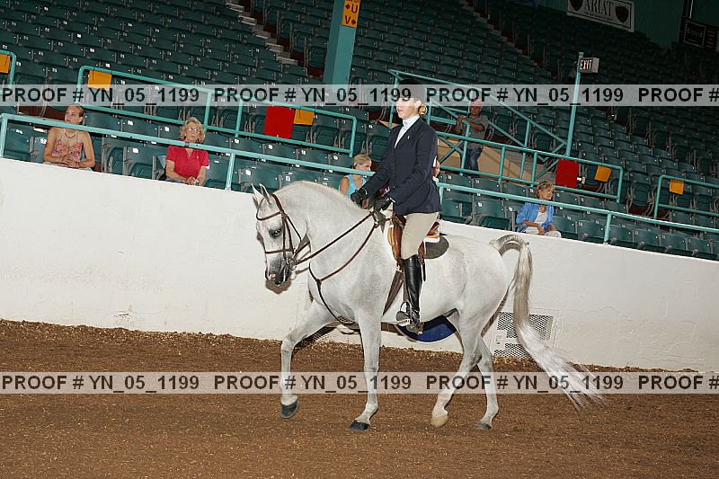 Proof Number yn_05_1199