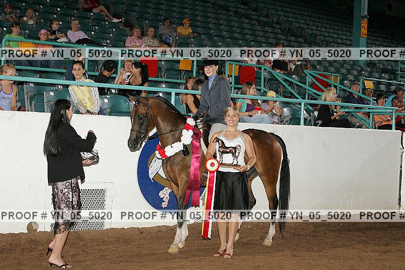 Proof Number yn_05_5020