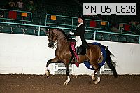 Proof Number yn_05_0826