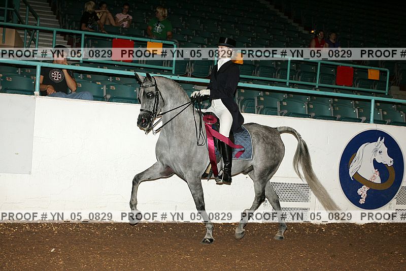 Proof Number yn_05_0829
