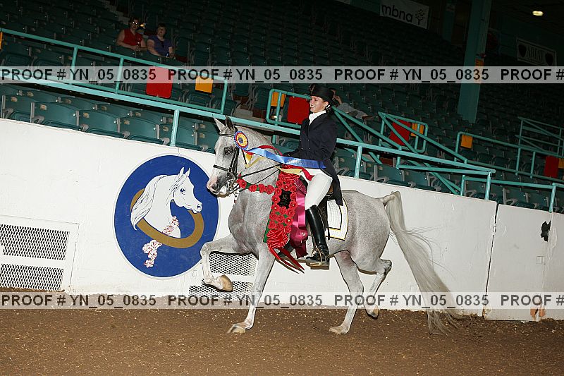 Proof Number yn_05_0835