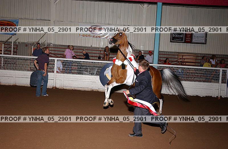Proof Number ynha_05_2901