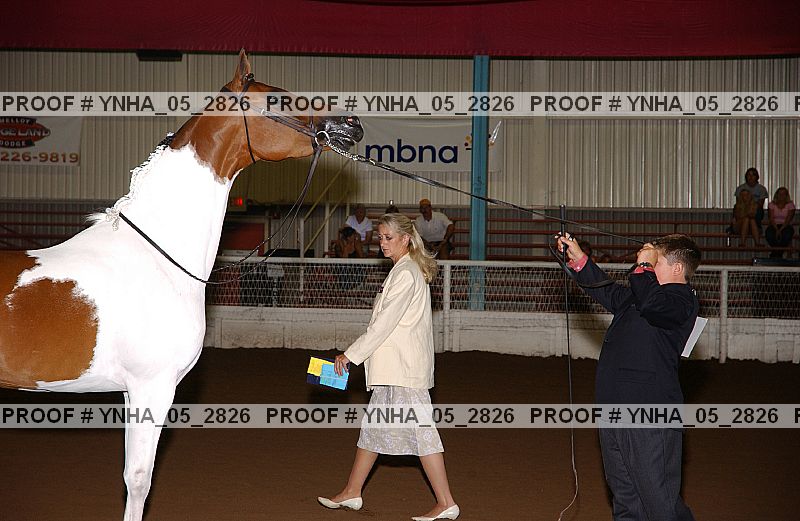 Proof Number ynha_05_2826