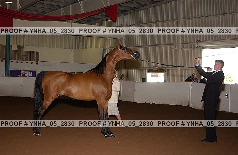 Proof Number ynha_05_2830