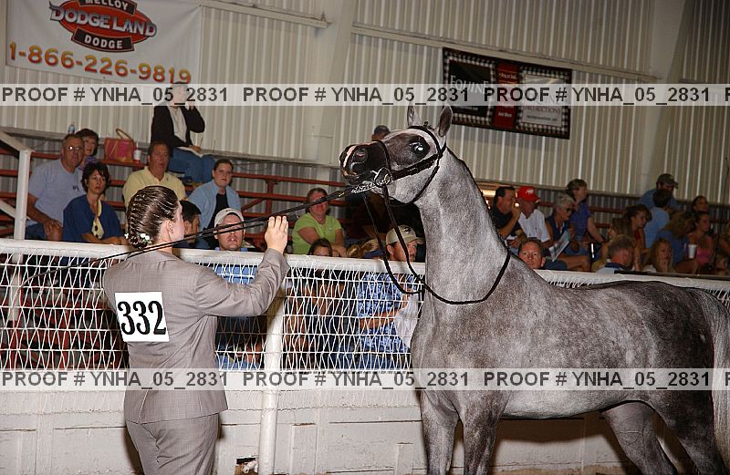 Proof Number ynha_05_2831