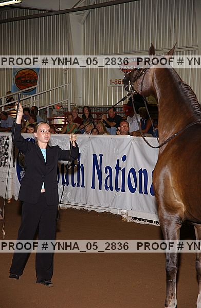 Proof Number ynha_05_2836