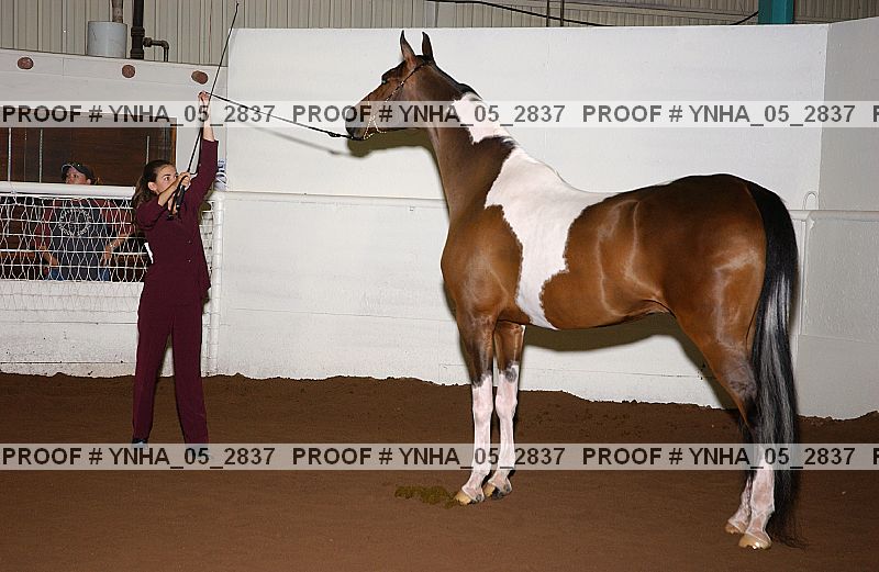 Proof Number ynha_05_2837