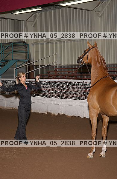 Proof Number ynha_05_2838