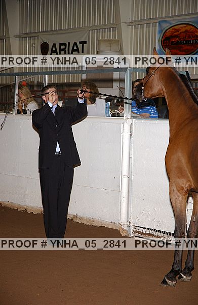 Proof Number ynha_05_2841