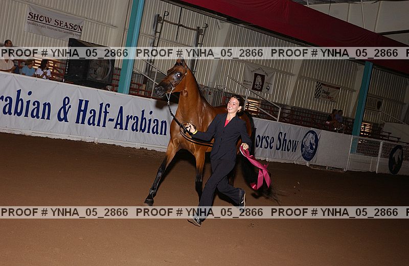 Proof Number ynha_05_2866