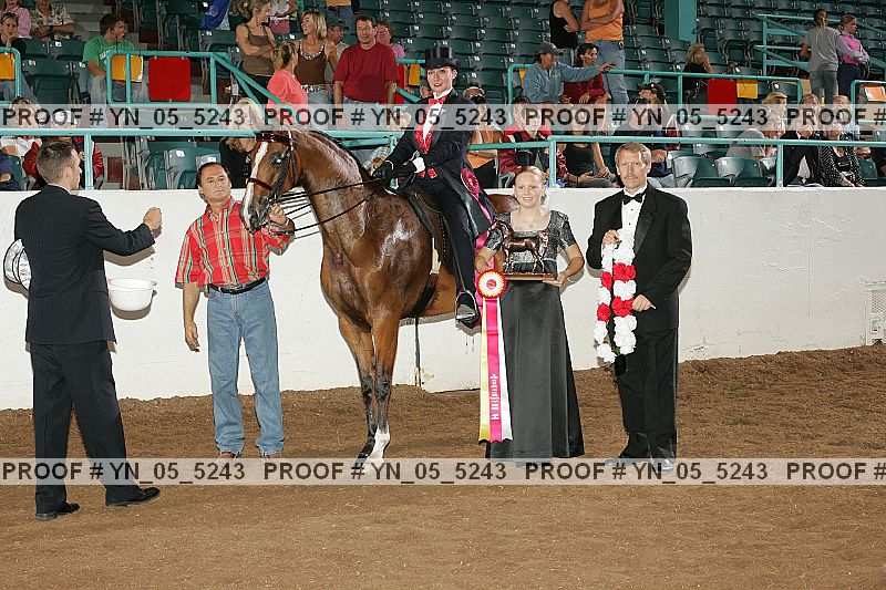 Proof Number yn_05_5243