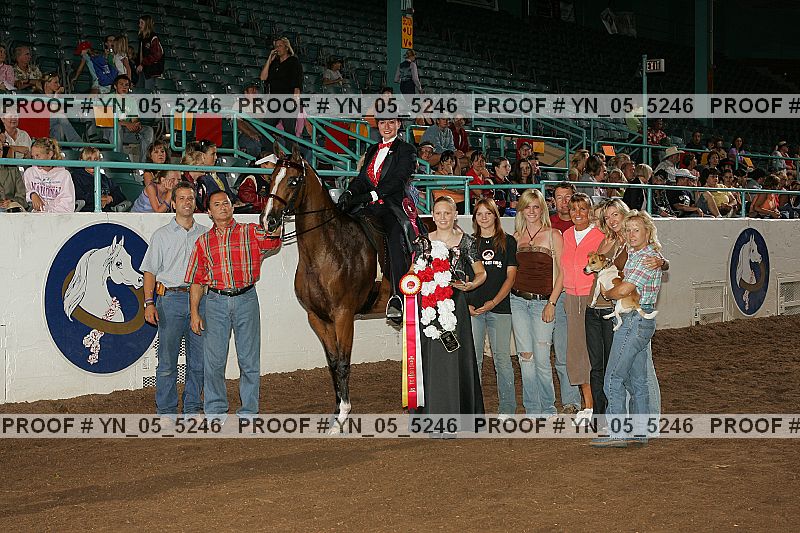 Proof Number yn_05_5246