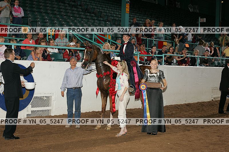 Proof Number yn_05_5247