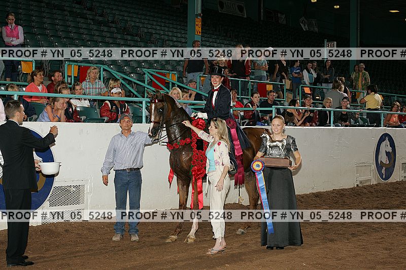 Proof Number yn_05_5248