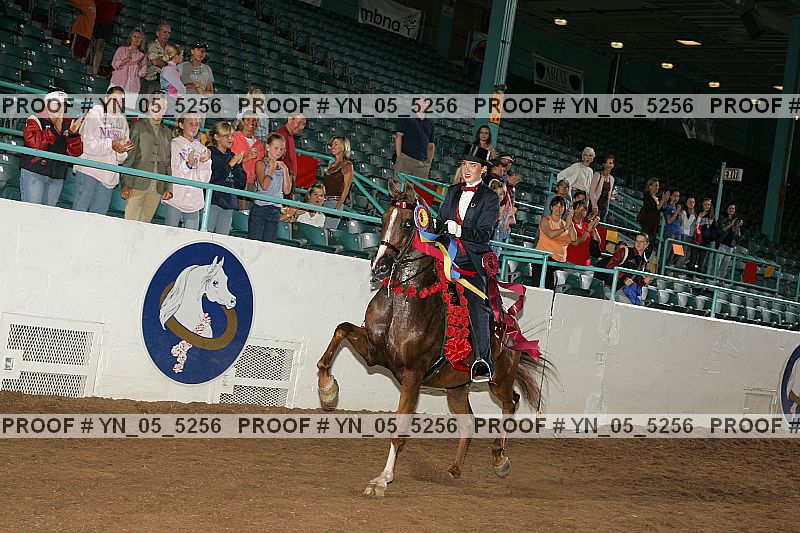 Proof Number yn_05_5256
