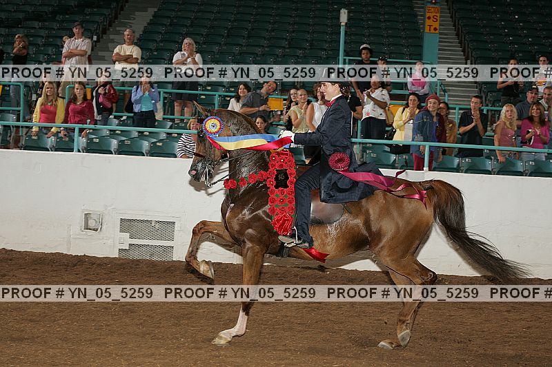 Proof Number yn_05_5259