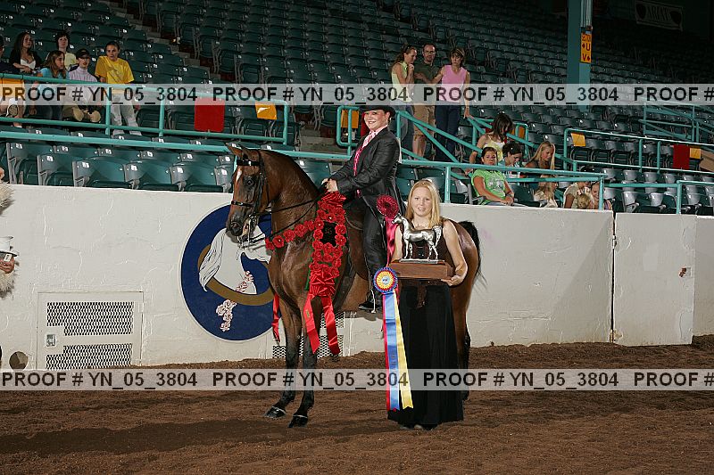 Proof Number yn_05_3804
