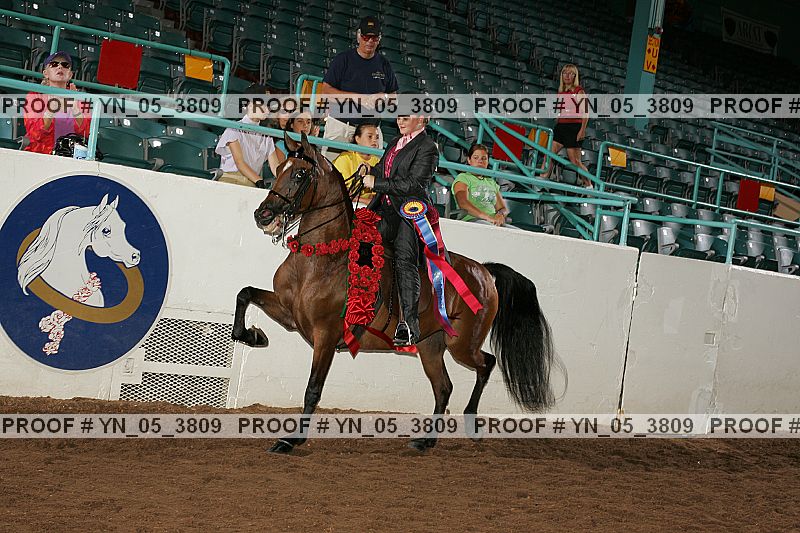 Proof Number yn_05_3809