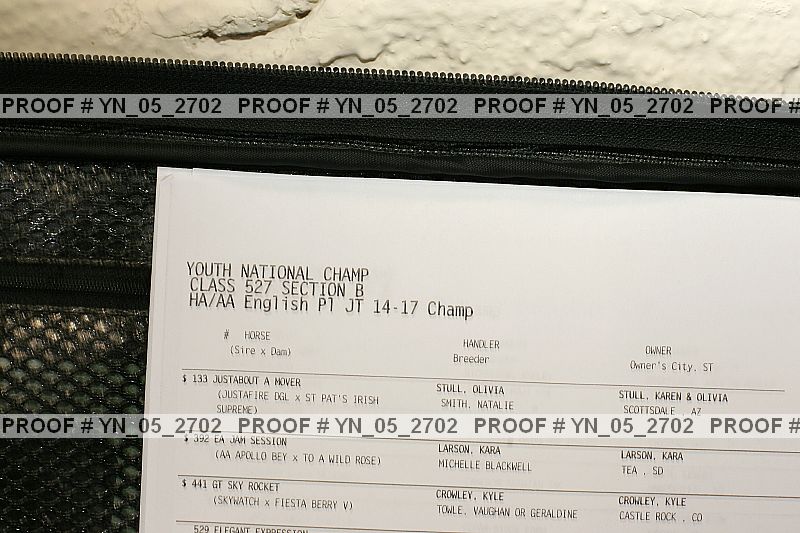 Proof Number yn_05_2702