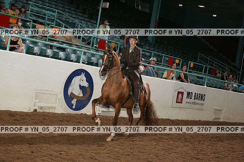 Proof Number yn_05_2707