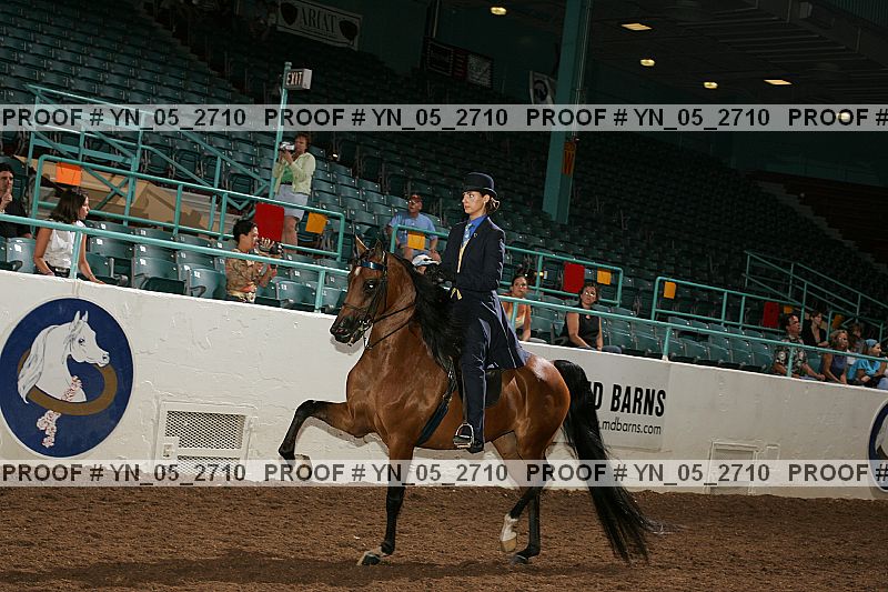 Proof Number yn_05_2710