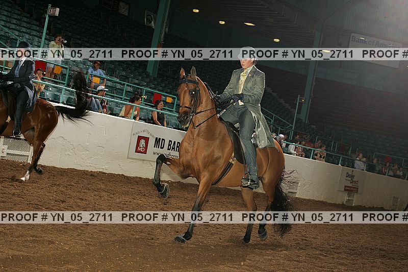 Proof Number yn_05_2711