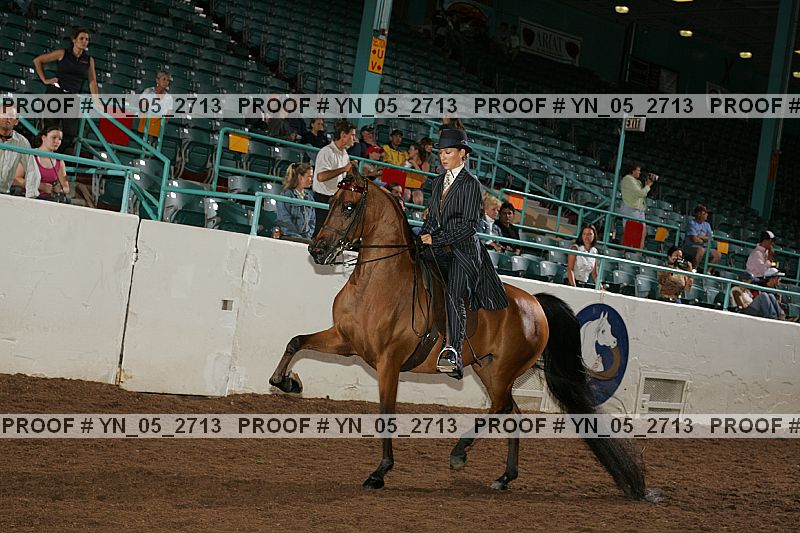 Proof Number yn_05_2713