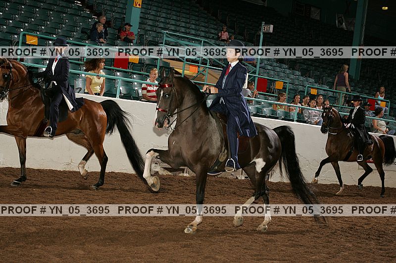 Proof Number yn_05_3695