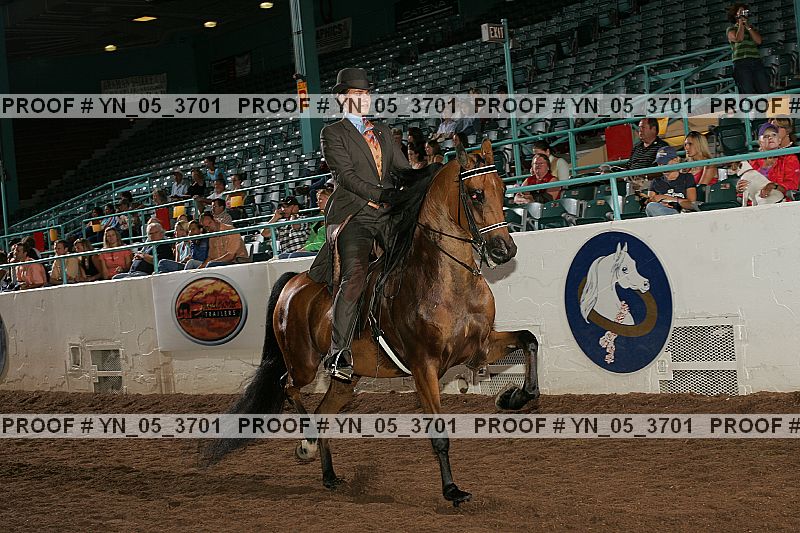 Proof Number yn_05_3701