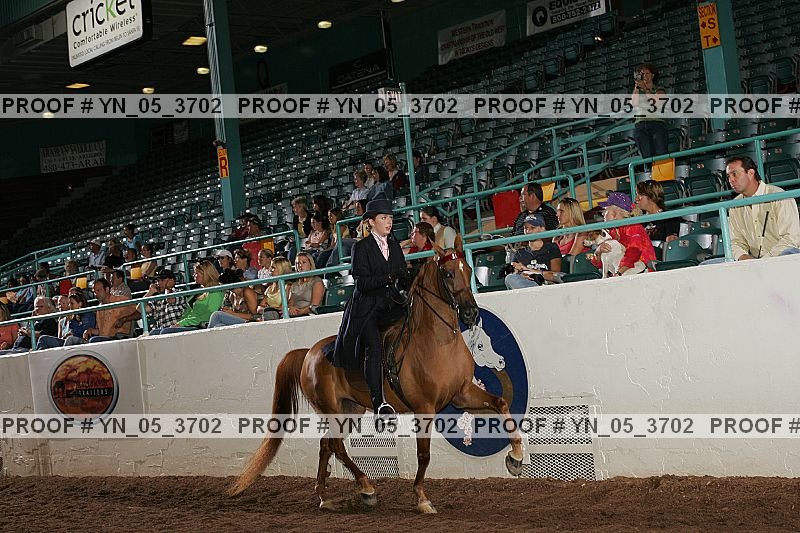 Proof Number yn_05_3702