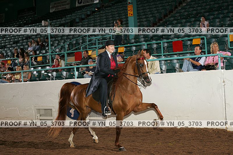 Proof Number yn_05_3703