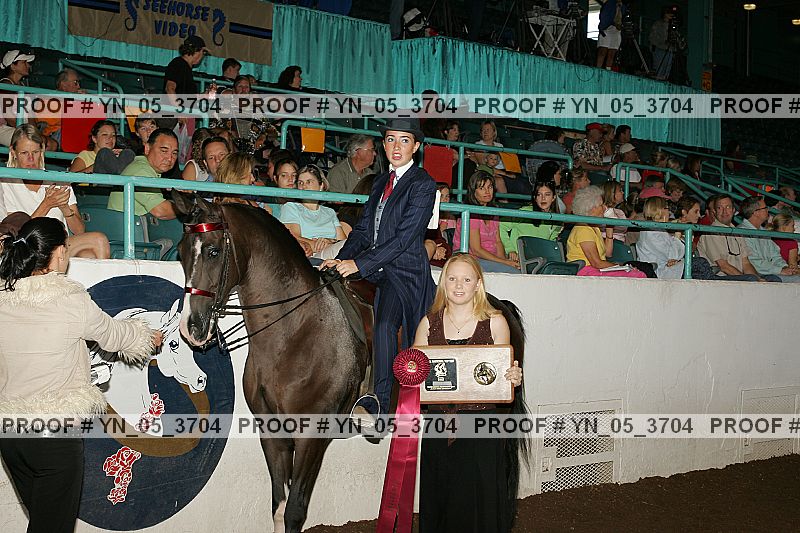 Proof Number yn_05_3704