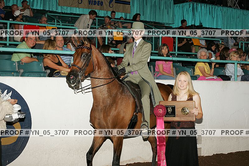 Proof Number yn_05_3707