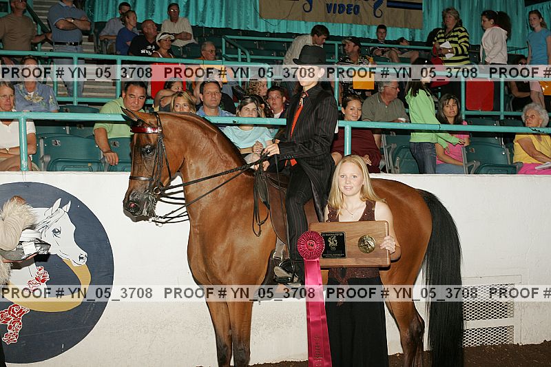 Proof Number yn_05_3708