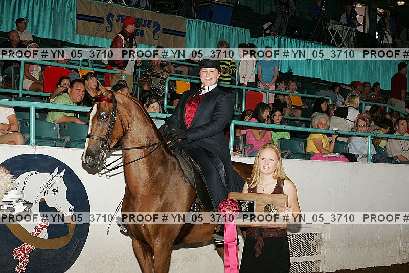 Proof Number yn_05_3710