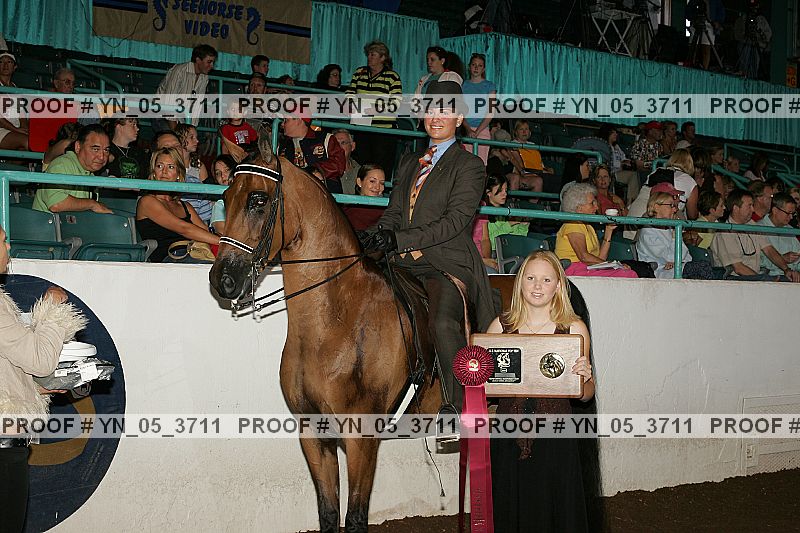 Proof Number yn_05_3711