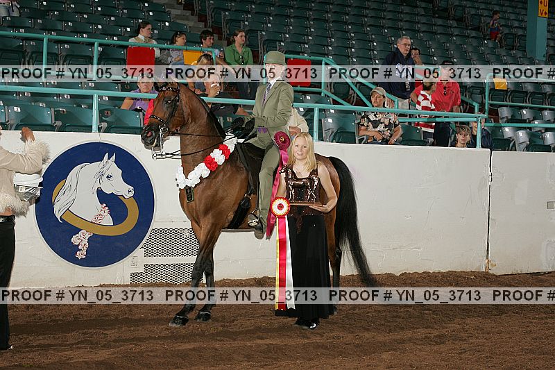 Proof Number yn_05_3713