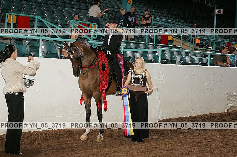 Proof Number yn_05_3719