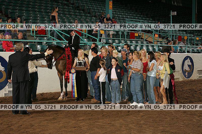 Proof Number yn_05_3721