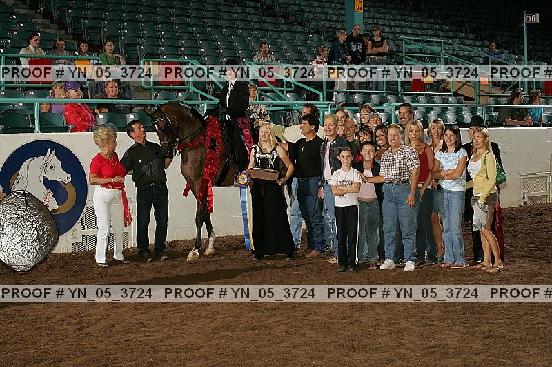 Proof Number yn_05_3724