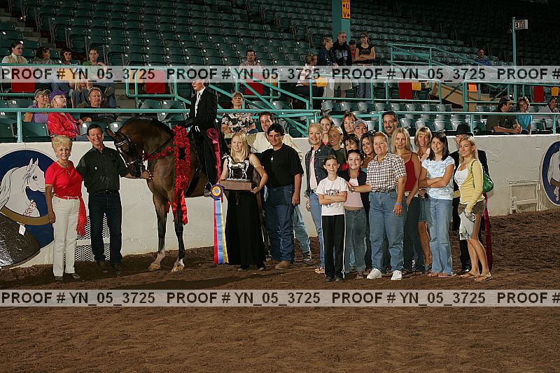 Proof Number yn_05_3725